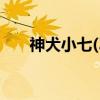 神犬小七(3)（关于神犬小七(3)介绍）