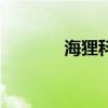 海狸科技有限公司（海狸网）
