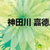 神田川 嘉德店（关于神田川 嘉德店介绍）