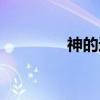 神的迷（关于神的迷介绍）