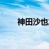 神田沙也加（关于神田沙也加介绍）