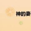 神的妻子（关于神的妻子介绍）