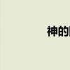神的国(关于神的国介绍) 神的国(关于神的国介绍)