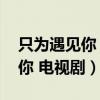 只为遇见你 电视剧在线观看免费（只为遇见你 电视剧）