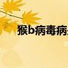 猴b病毒病是人畜共患病吗（猴b病毒）