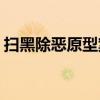 扫黑除恶原型案件KTV（扫黑除恶原型案件）