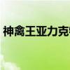 神禽王亚力克特（关于神禽王亚力克特介绍）