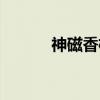 神磁香枕（关于神磁香枕介绍）