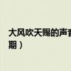 大风吹天赐的声音第几期第几分钟（大风吹天赐的声音第几期）