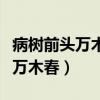 病树前头万木春的病什么意思（什么病树前头万木春）