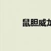 鼠胆威龙主演（鼠胆龙威演员表）
