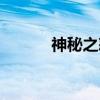 神秘之怒（关于神秘之怒介绍）