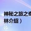 神秘之旅之奇幻森林（关于神秘之旅之奇幻森林介绍）