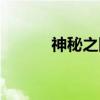 神秘之队（关于神秘之队介绍）