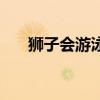 狮子会游泳吗为什么（狮子会游泳吗）
