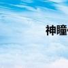 神瞳传（关于神瞳传介绍）