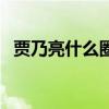 贾乃亮什么圈（贾乃亮调侃了半个演艺圈）