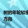 树的年轮较密的向着什么方向较疏的向着什么方向