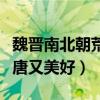 魏晋南北朝荒唐又美好谁说的（魏晋南北朝荒唐又美好）