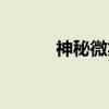 神秘微笑（关于神秘微笑介绍）