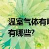 温室气体有哪些?引起臭氧层破坏的物质主要有哪些?