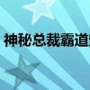 神秘总裁霸道宠（关于神秘总裁霸道宠介绍）