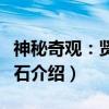 神秘奇观：贤者之石（关于神秘奇观：贤者之石介绍）