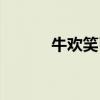 牛欢笑已往股票评论（牛欢笑）