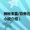 神秘来客/恐怖石堡系列小说（关于神秘来客/恐怖石堡系列小说介绍）