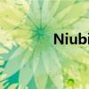 NiubilityMaterialToolBox