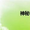 神秘学（关于神秘学介绍）