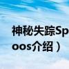 神秘失踪Spoorloos（关于神秘失踪Spoorloos介绍）