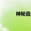 神秘直觉（关于神秘直觉介绍）