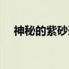 神秘的紫砂壶（关于神秘的紫砂壶介绍）