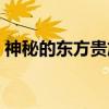 神秘的东方贵族（关于神秘的东方贵族介绍）