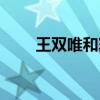 王双唯和窦文涛（王双唯与聂闻涛）