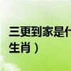 三更到家是什么生肖和动物（三更到家是什么生肖）