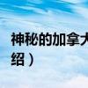 神秘的加拿大首富（关于神秘的加拿大首富介绍）