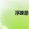 浮躁是什么生肖（浮躁是什么）