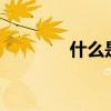 什么是DJ戒指（什么是DJ）