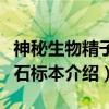 神秘生物精子化石标本（关于神秘生物精子化石标本介绍）