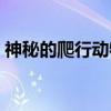 神秘的爬行动物（关于神秘的爬行动物介绍）