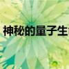 神秘的量子生命(关于神秘的量子生命介绍) 神秘的量子生命(关于神秘的量子生命介绍)