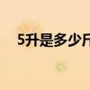 5升是多少斤等于多少斤（5升是多少斤）