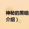 神秘的黑暗能量-7（关于神秘的黑暗能量-7介绍）
