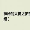 神秘的大佛之护宝者联盟（关于神秘的大佛之护宝者联盟介绍）