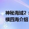 神秘海域2：纵横四海（关于神秘海域2：纵横四海介绍）