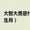 大智大勇是什么生肖查一下（大智大勇是什么生肖）