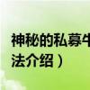 神秘的私募牛股战法（关于神秘的私募牛股战法介绍）