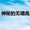 神秘的羌塘高原（关于神秘的羌塘高原介绍）